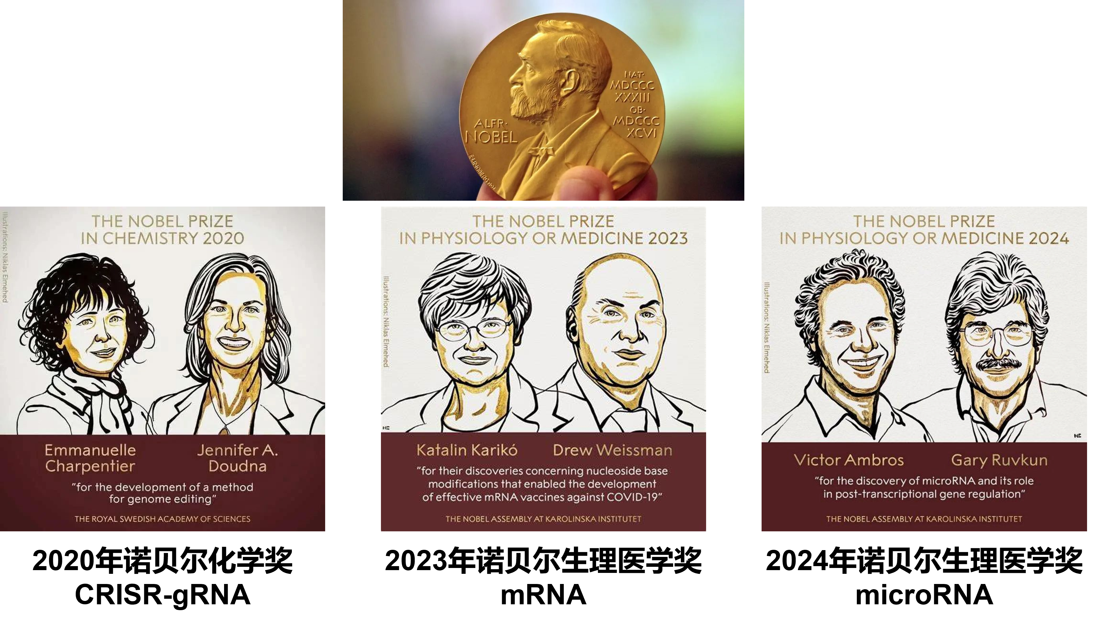 opening_nobel_nucleic_acid.png